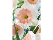 21,02���. ������� ��������� (��� 10 ��. ���������� ������ 5��.).jpg