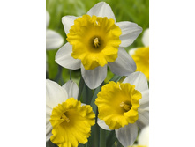 21,02���. ������� ����� (��� 10 ��. ���������� ������ 5��.).jpg