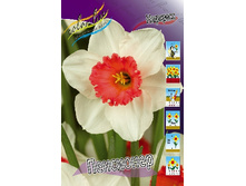 22,38���. ������� ��������� (��� 10 ��. ���������� ������ 5��.).jpg