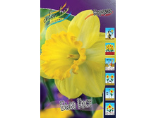 23,06���. ������� ��� ���� (��� 10 ��. ���������� ������ 5��.).jpg