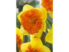 24,41���. ������� ������ (��� 10 ��. ���������� ������ 5��.).jpg