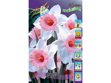 33,51���. ������� ���� (�������� ���� �� 10 ��., ����������� ����� 1��.).jpg