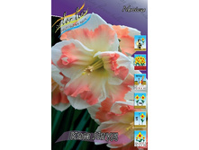 35,96���. ������� ��� ���� (�������� ���� �� 10 ��., ����������� ����� 1��.).jpg