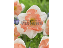 46,12���. ������� ������������ (�������� ���� �� 5 ��., ����������� ����� 1��.).jpg.jpg