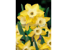 ����� 13,55���. ������� ����� (��� 10 ��. ���������� ������ 5��.).jpg.jpg