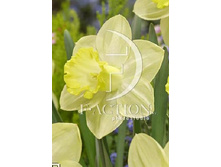 ����� 27,13���. ������� �������� (�������� ���� �� 10 ��., ����������� ����� 1��.).jpg.jpg