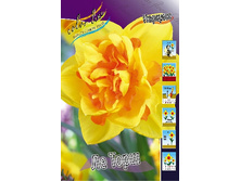 44,84���. ������� �� ���� (�������� ���� �� 5 ��., ����������� ����� 1��.).jpg