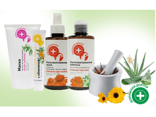 �����  �������� ������