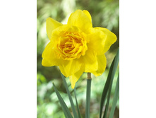 14,91���. ������� ���� ������ (��� 10 ��. ���������� ������ 5��.).jpg.jpg