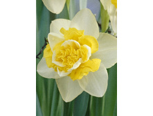 23,74���. ������� ������ (��� 10 ��. ���������� ������ 5��.).jpg.jpg