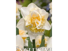 30,8���. ������� ���� ������ (�������� ���� �� 7 ��., ����������� ����� 1��.).jpg.jpg