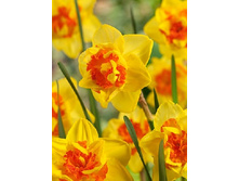 38,96���. ������� ���������� (�������� ���� �� 7 ��., ����������� ����� 1��.).jpg.jpg