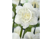 46,8���. ������� ����� ���� (�������� ���� �� 5 ��., ����������� ����� 1��.).jpg.jpg