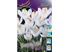 7,11���. ������ ����� ���� (���������� ������ ������ ���������� �� 15 ��.).jpg