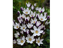 9,87���. ������ ���� ������ (����.) (���������� ������ ������ ���������� �� 15 ��.).jpg