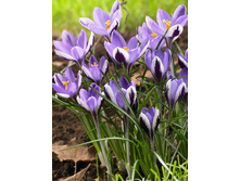 4,21���. ������ ������ ����� (������) (���������� ������ ������ ���������� �� 15 ��.).jpg