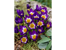 4,71���. ������ �������� (������) (���������� ������ ������ ���������� �� 15 ��.).jpg