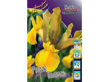 8,83���. ���� ����. ����� ����� (���������� ������ ������ ���������� �� 10 ��.).jpg