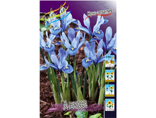 6,19���. ���� ����. ����� (���������� ������ ������ ���������� �� 10 ��.).jpg