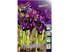 6,19���. ���� ����. ������� (���������� ������ ������ ���������� �� 10 ��.).jpg