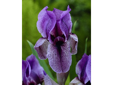 59,9���. ���� �������� (�������� ���� �� 2 ��., ����������� ����� 1��.).jpg