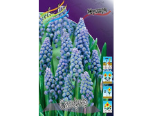 6,69���. ������� ������ (���������� ������ ������ ���������� �� 10 ��.).jpg