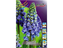 6,82���. ������� ������ (���������� ������ ������ ���������� �� 10 ��.).jpg