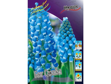 6,82���. ������� ��� ����� (���������� ������ ������ ���������� �� 10 ��.).jpg