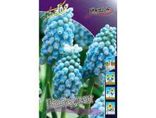 6,94���. ������� ���������� (���������� ������ ������ ���������� �� 10 ��.).jpg