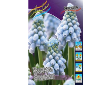 7,57���. ������� ������ ������ (���������� ������ ������ ���������� �� 10 ��.).jpg