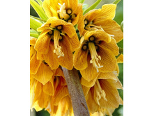 173,8���. ����������� ������� ����� (�������� ���� �� 2 ��., ����������� ����� 1��.).jpg