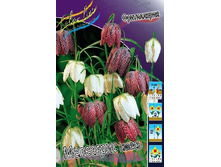 5,72���. ����������� ���������, ����� (���������� ������ ������ ���������� �� 15 ��.).jpg