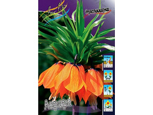 72,5���. ����������� ������ (�������� ���� �� 2 ��., ����������� ����� 1��.).jpg