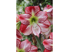 260,1���. ��������� ������� (�������� ���� �� 1 ��., ����������� ����� 1��.).jpg