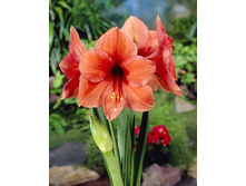 138,7���. ��������� ������ (�������� ���� �� 1 ��., ����������� ����� 1��.).jpg