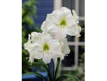 138,7���. ��������� �������� ���� (�������� ���� �� 1 ��., ����������� ����� 1��.).jpg