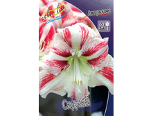 187,8���. ��������� ������ (�������� ���� �� 1 ��., ����������� ����� 1��.).jpg