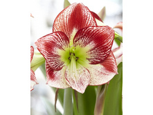 201,6���. ��������� �������� ���� (�������� ���� �� 1 ��., ����������� ����� 1��.).jpg