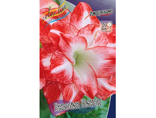 252���. ��������� ������� ����� (�������� ���� �� 1 ��., ����������� ����� 1��.).jpg