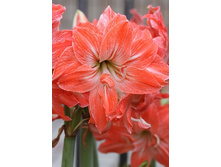 202,9���. ��������� ���� ����� (�������� ���� �� 1 ��., ����������� ����� 1��.).jpg