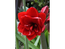 227,4���. ��������� ���� ������ (�������� ���� �� 1 ��., ����������� ����� 1��.).jpg