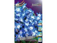 10,34���. ���������� ��� ����� ( ���������� �� ����� �������� ��10��.).jpg