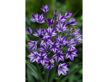 11,13���. ��������� ���� (��� 15 ��. ���������� ������ 5��.).jpg