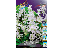 11,85���. ������ ������� (��� 10 ��. ���������� ������ 5��.).jpg