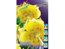 20,94���. ���������� ������ (���������� �� ����� �������� �� 5��.).jpg