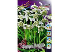 25,82���. ���������� ����� ����� (�������� ���� �� 10 ��., ����������� ����� 1��.).jpg