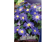 3,83���. ������� ��� ����� (���������� ������ ������ ���������� �� 15 ��.).jpg