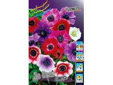 3,83���. ������� �� ���� ����� (���������� ������ ������ ���������� �� 15 ��.).jpg