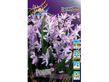 5,56���. ���������� ����� (���������� ������ ������ ���������� �� 10 ��.).jpg