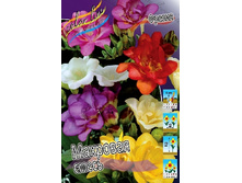 6,1���. ������ �����, ������. (���������� ������ ������ ���������� �� 15 ��.).jpg